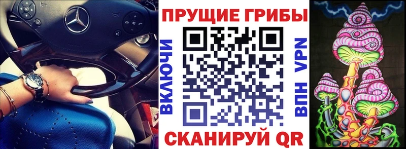 Купить где  Лодейное Поле  Псилоцибиновые грибы Psilocybine cubensis 