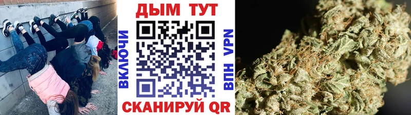 Купить закладки  Лодейное Поле  Бошки марихуана семена 